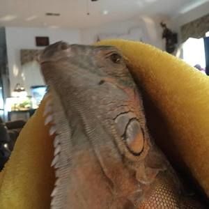 Meet your Posher, Deborah